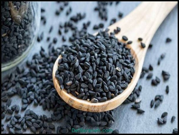 "سیاهدانه"در درمان کووید۱۹ مفید است؟/ محققان استرالیایی: امکان توقف "طوفان سیتوکینی"در بیماران کرونایی