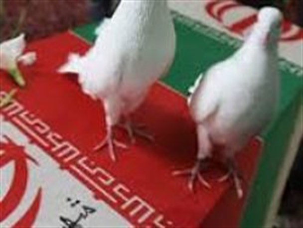 ستاد استقبال از پیکر شهید مرادحاصلی در سرابله تشکیل شد