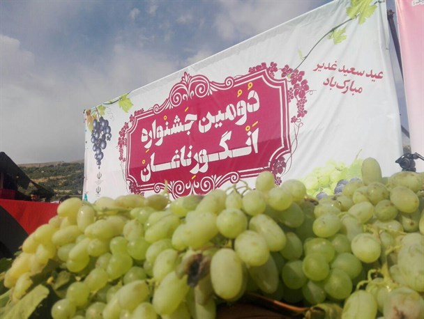 یاقوت ناغان نگران حمایت مسئولان
