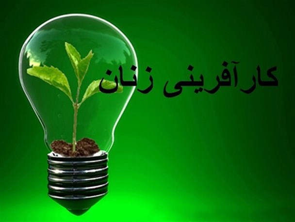 توجه به زنان یکی از مهمترین معیارهای توسعه یافتگی است/نرخ ۱۶ درصدی مشارکت اقتصادی بانوان زنجانی