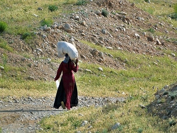 واکنش شرکت توزیع نیروی برق به مطالبه زن عشایری در بویراحمد/بهسازی شبکه برق روستای کهگیلویه و بویراحمد تا پایان سال