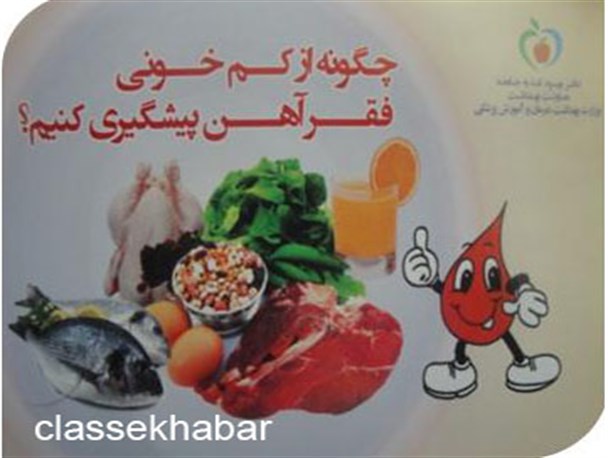 دانش آموزان استان تحت آموزش تغذیه و آهن یاری قرار  می گیرند