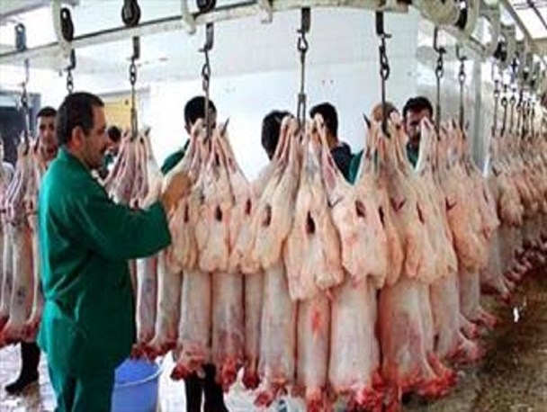 صادر شدن گوشت کشتارگاه پیشین به ۱۵ استان کشور