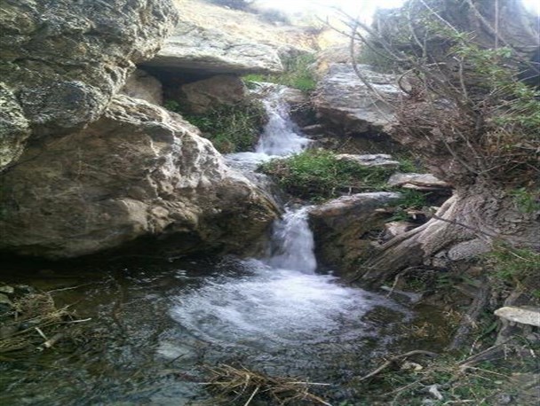 روستای چنار ناز خاتم؛ زیبای خفته در دل کویر +تصاویر