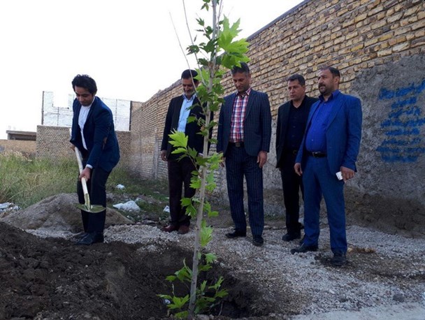 غرس نهال در گالیکش از محل جرائم تعیین‌شده از سوی محاکم قضایی +تصاویر
