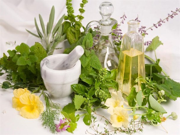 تولید و فرآوری گیاهان دارویی راهی برای برون‌رفت از بحران کم آبی است