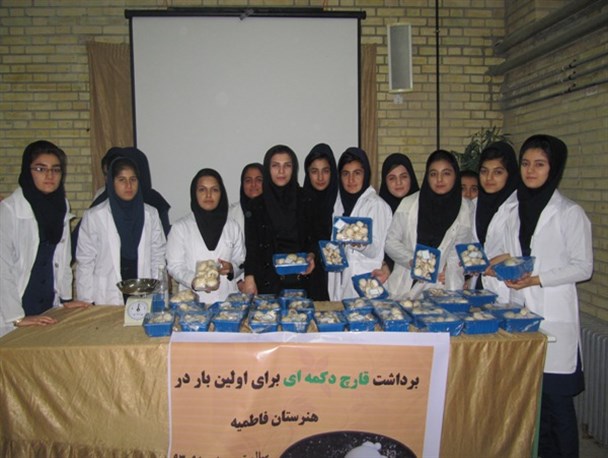 نخستین برداشت قارچ دکمه ای پیرانشهر درهنرستان کاردانش فاطمیه