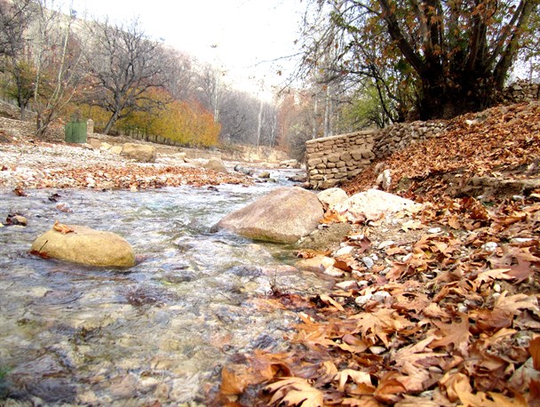 شهرآشوبی پائیز درروستای استاد+تصاویر