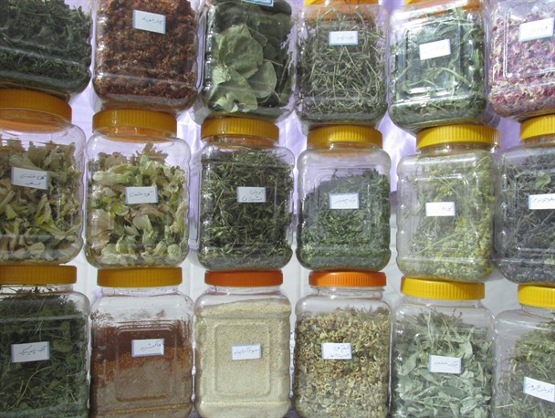 نمایشگاه محصولات غذایی و دارویی بومی-محلی در خنداب+ تصاویر