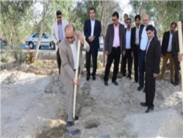 تولید انبوه زیتون در زابل/ ۴۰۰ نهال زیتون در دانشگاه زابل کاشته شد