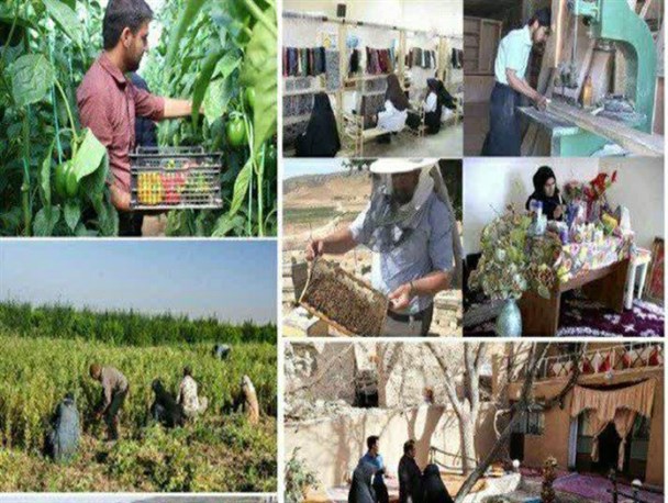 اجرای ۲۷۳ طرح اشتغالزایی در شهرستان سنقروکلیایی