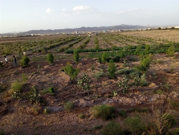 دست کوتاهِ فعالان تولید از زیرساخت‌ها/ مسئولان فقط شعار حمایت از تولید می دهند