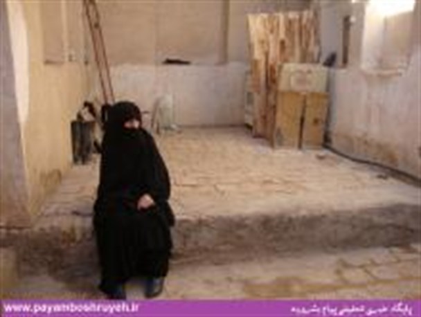 تلاش بیش از 10 مسئول نهادهای دولتی برای کمک به بانوی سالمند+تصویر