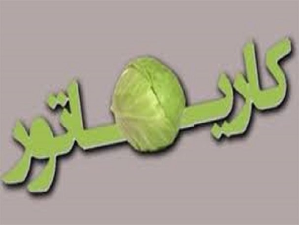 بیشتر بساز بفروش ها،ماست فروش بوده اند