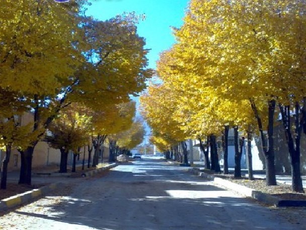 طبیعت زیبای پاییز در دهاقان/ تصاویر