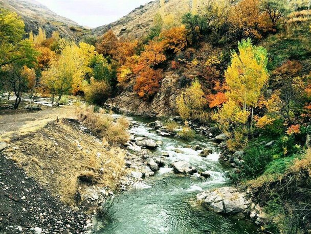 گیوی در فصل خزان/تصاویر