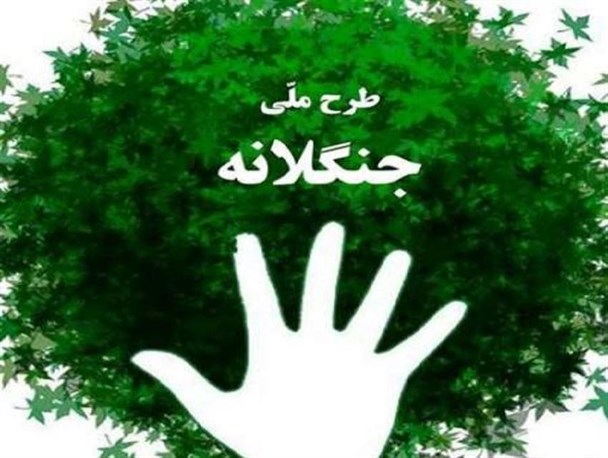 اجرای طرح ملی جنگلانه در نی ریز