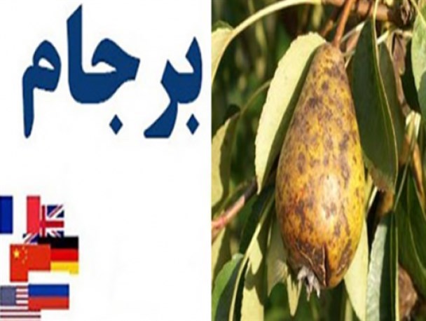 خشکسالی در باغ برجام