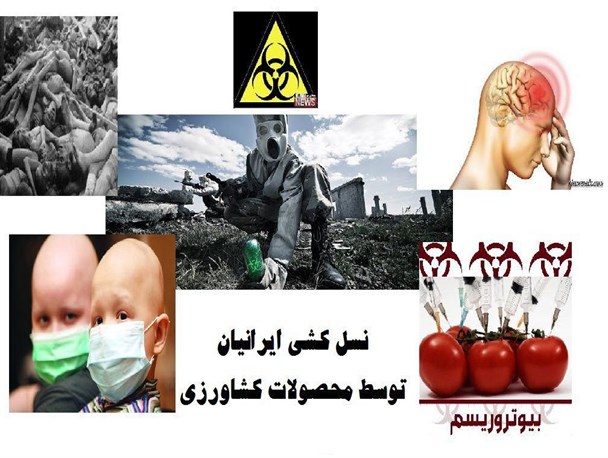 سرطان در کمین مصرف کنندگان محصولات تراریخته