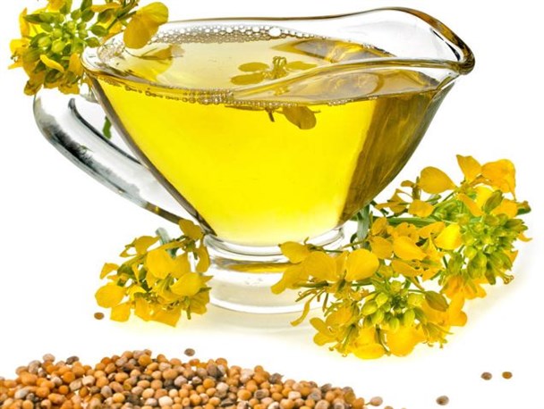 کشت کلزا موجب صرفه اقتصادی برای کشاورز و کیفیت غذایی مناسب برای مصرف کننده