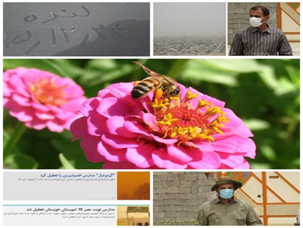 ریزگردها عامل افزایش بیماری ها و کاهش محصولات دامی و کشاورزی در لنده +تصاویر