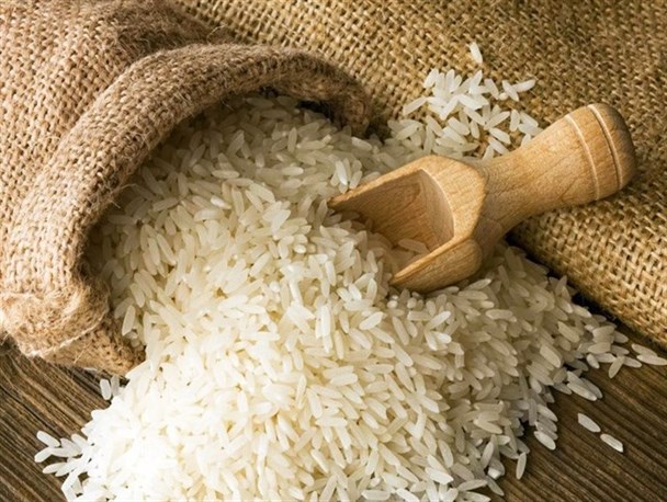اقبال اروپا و کانادا به خرید برنج شمال کشور/ «صادرات برنج» آغازی برای رفع دغدغه‌های کشاورزان