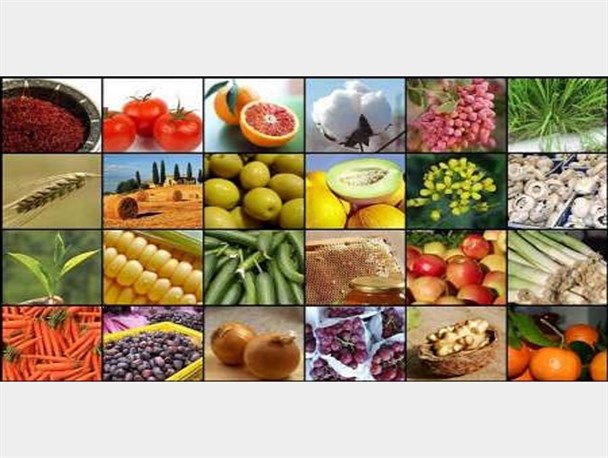 وجود آزمایشگاه برای پایش تولید محصول سالم در همدان الزامی است