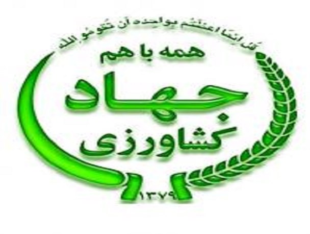 برگزاری کارگاه آموزشی تولید محصول گواهی شده در کنگان