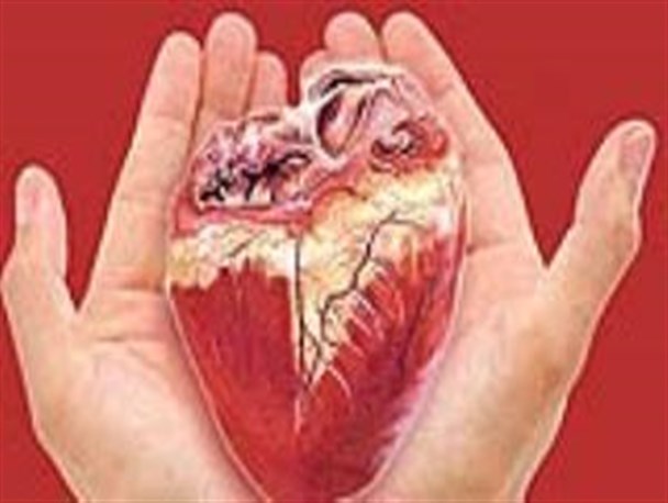اهدای اعضای جوان مازندرانی به 9 نفر زندگی دوباره بخشید