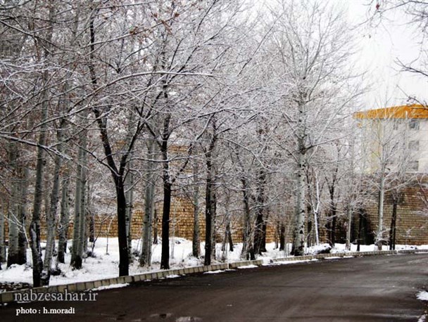 گزارش تصویری/ اولین برف زمستانی در خرمدره
