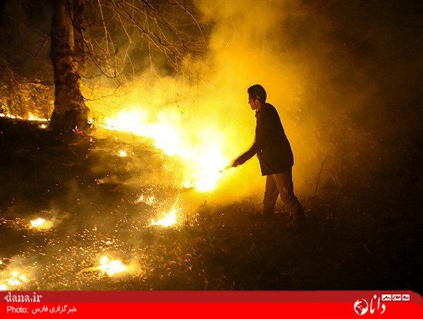 گزارش تصویری/آتش سوزی در جنگل های هزار جریب مازندران