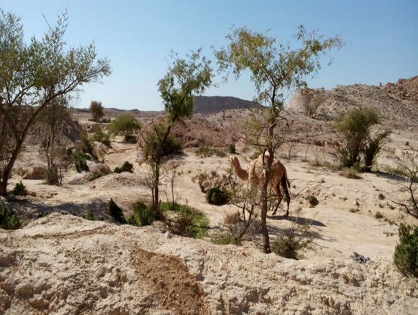 طبیعت زیبای روستای خلف پارسیان از دریچه دروبین