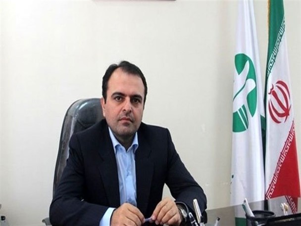 مشاهده سمور سنگی در منطقه الموت غربی+تصویر