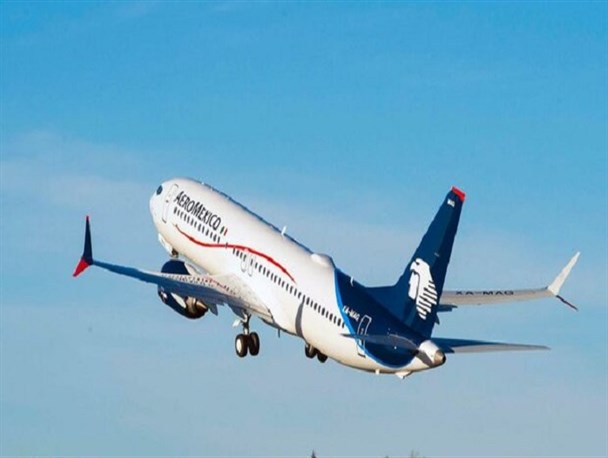 آتش سوزی موتور علت سقوط هواپیمای اوکراینی اعلام شد/ اسامی و ملیت جان‌باختگان این حادثه