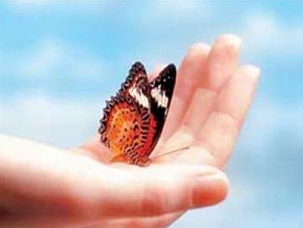 موسسه خیریه سما در شهرستان قروه افتتاح شد