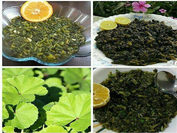 غذای محلی گیاهی باشتی ها را بیشتر بشناسید+تصاویر