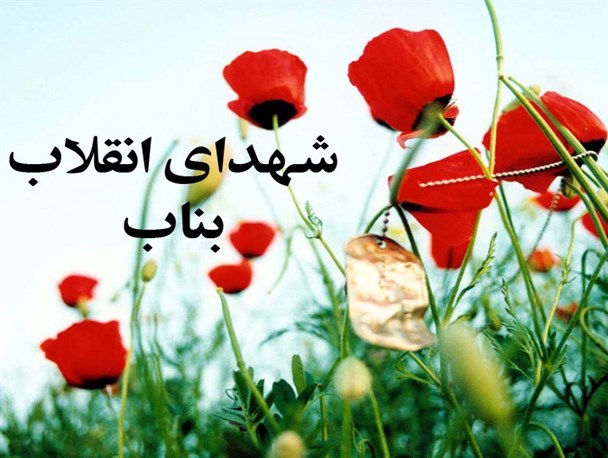 جوانانی که باخون خود طاغوت را سرنگون کردند/ سیمای شهدای انقلاب ۵۷ در بناب+تصاویر