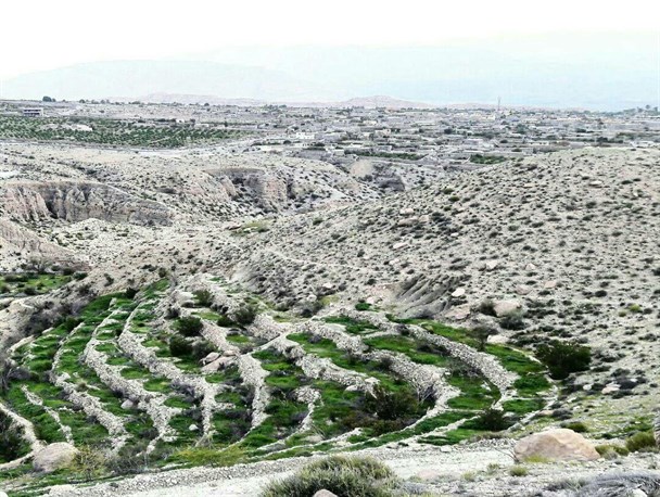 فشار بانک ها بر باغداران خسارت دیده هرمزگانی/ ظرفیت های روستای درگز برای توسعه مغفول مانده است