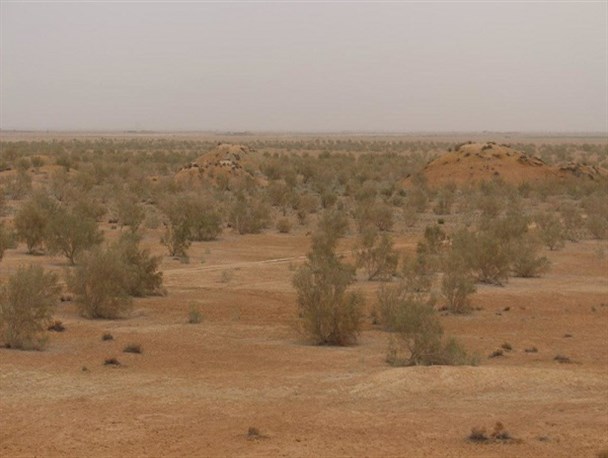 ۸ میلیارد تومان وعده بر زمین مانده برای بیابان‌زدایی «میقان»/تخصیص تنها ۳۰ درصد اعتبارات حوزه آبخیزداری استان مرکزی