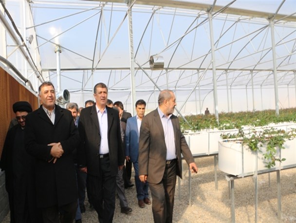 گلخانه گلهای زینتی در میاندوآب افتتاح شد + تصاویر