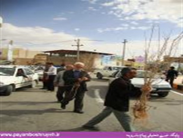 نظر شما چیست +تصویر