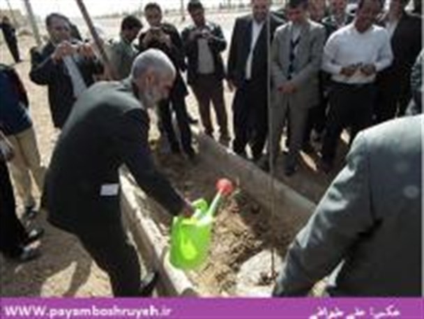 کاشت بیش از 1000 اصله نهال به یاد شهدای بشرویه+تصویر