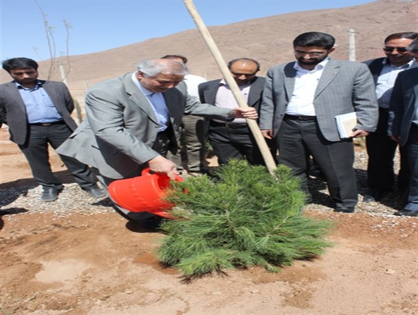 ۲۰۰ اصله نهال در شهرک صنعتی2 تفت غرس شد +تصاویر