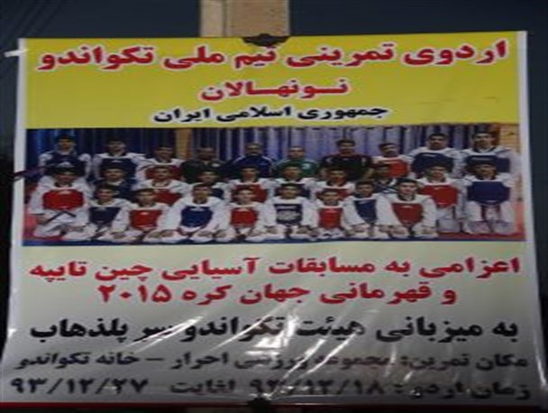 سرپلذهاب میزبان اردوی تیم ملی تکواندو نونهالان شد