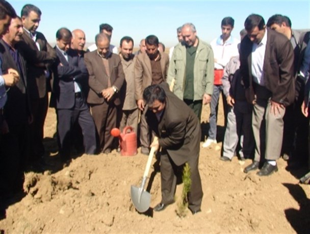 مراسم روز درختکاری در شهرستان اسلام آبادغرب برگزار شد