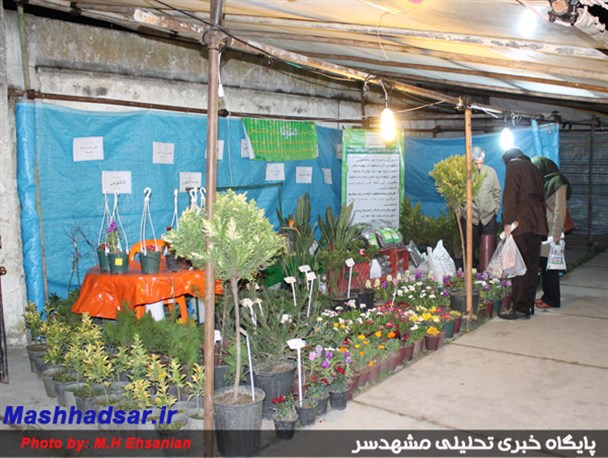 نمایشگاه بهاره در بابلسر+عکس
