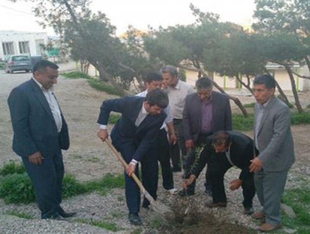 ممانعت اهالی روستای اجن سنگرلی کلاله از کاشت درخت توسط مسئولین