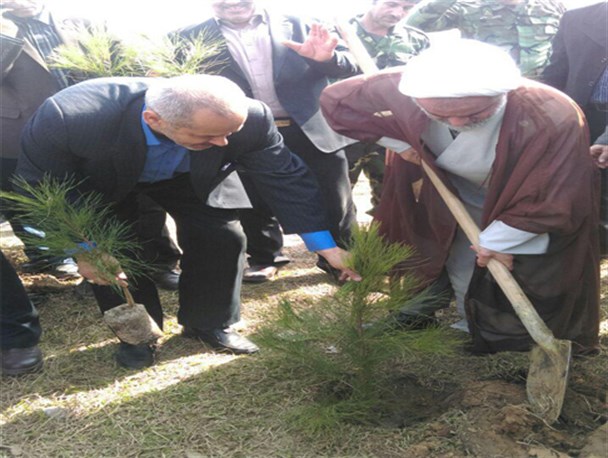 کاشت ۱۷۶ نهال به یاد ۱۷۶ شهید نهضت سواد آموزی