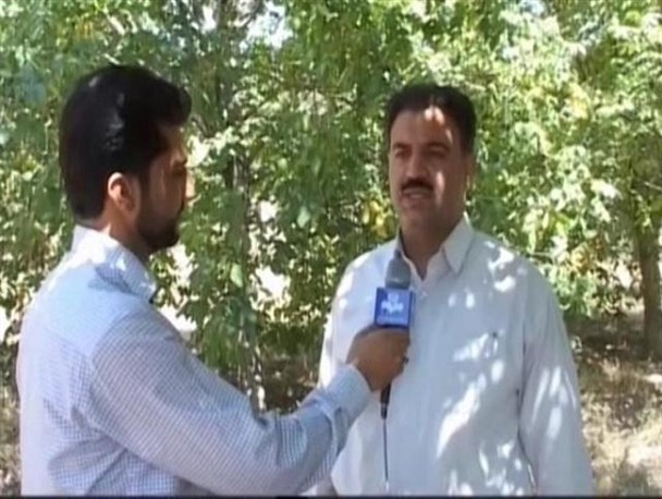 کشت ۱۵۰۰ هکتار صیفی جات در اردستان