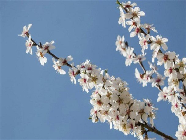منابع طبیعی همواره به منزله زیربنای توسعه اقتصادی و اجتماعی نقش اساسی داشته است